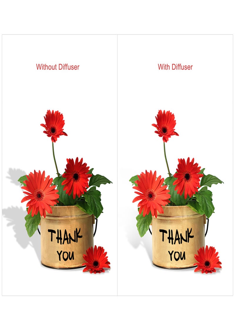 رأس ارتداد فلاش 580EX مع صندوق إضاءة ناعمة وحافظة وموزع إضاءة لكاميرات YONGNUO YN560/YN560 II/YN560 III/YN560 IV/YN565EX/YN565EX II وكاميرات Canon 580EX/580EX II - Image 2